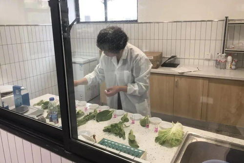 新規落地 “食用農產品”終于開了，時代的必然要求和挑戰